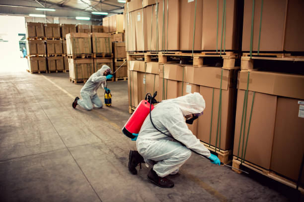Best Pest Prevention Services  in Davis Junction, IL