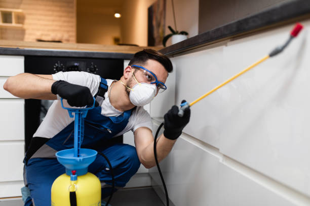 Pest Control for Restaurants in Davis Junction, IL