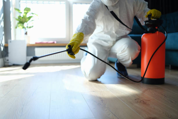 Best Affordable Pest Control Services  in Davis Junction, IL