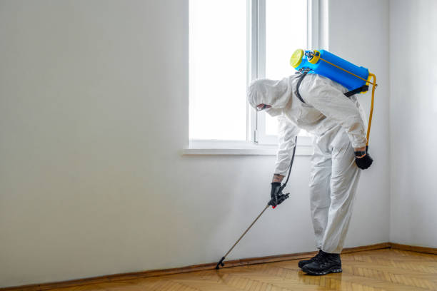 Trusted Davis Junction, IL Pest Control Experts