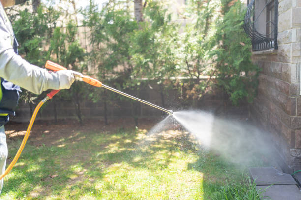 Best Spider Control Near Me  in Davis Junction, IL