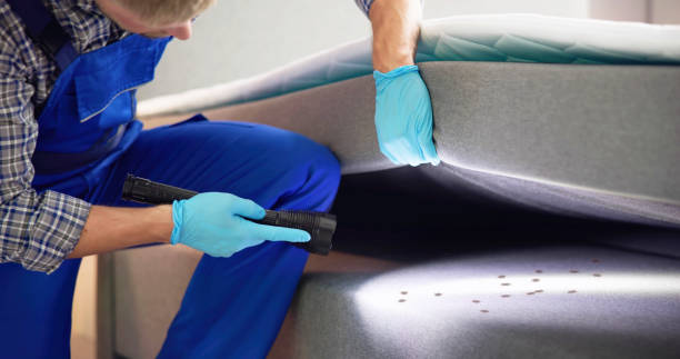 Best Emergency Pest Control  in Davis Junction, IL