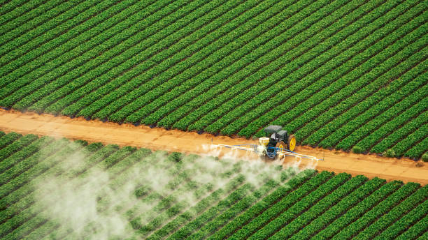 Best Insect Control  in Davis Junction, IL