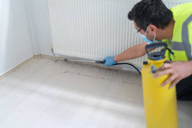 Best Commercial Pest Control Services  in Davis Junction, IL
