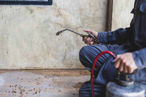 Best Best Pest Control Near Me  in Davis Junction, IL